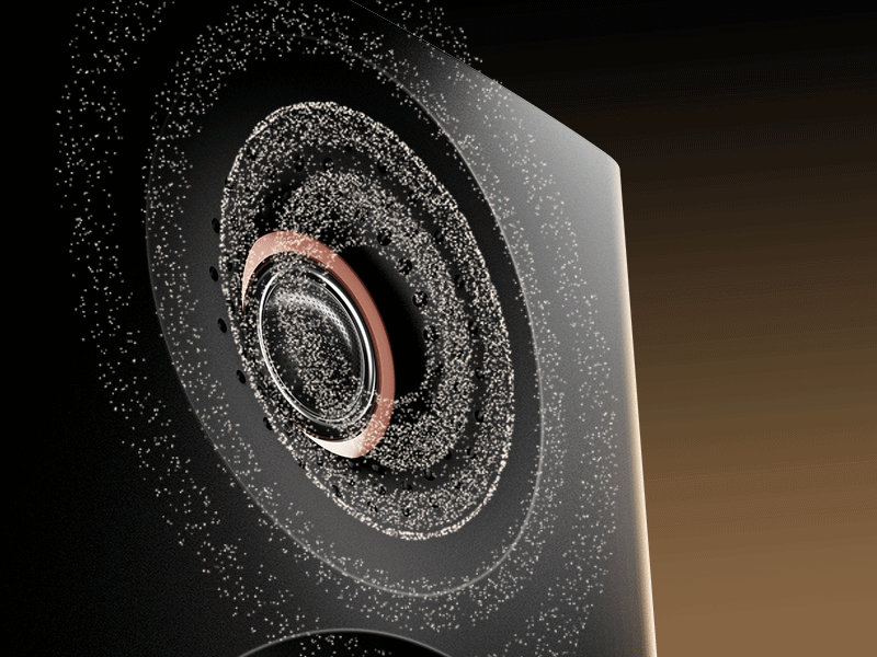 Wide-Sweet-Spot-Black