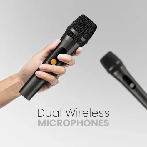 HiFuture MusicBox 200 Portable Dual Microphone